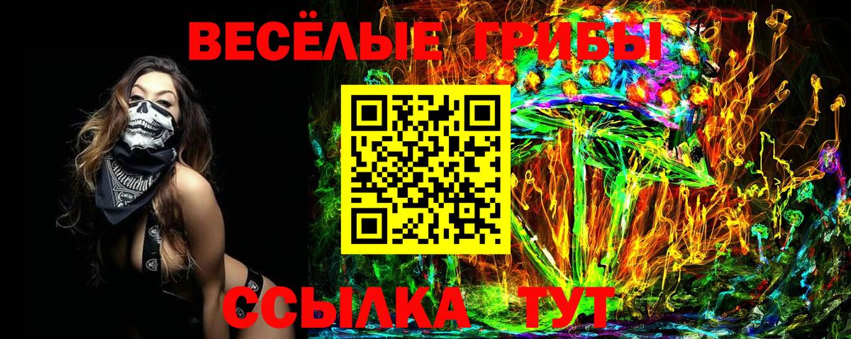 Сунжа  Псилоцибиновые грибы MAGIC MUSHROOMS  закладка  Вход с VPN 